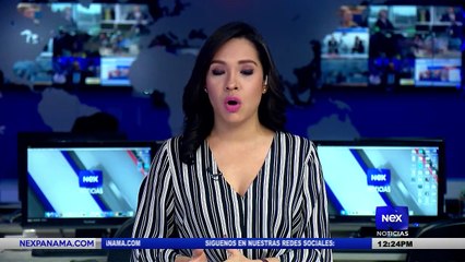 Entrevista a Elsa Fernandez, Directora General de Antai  - Nex Noticias