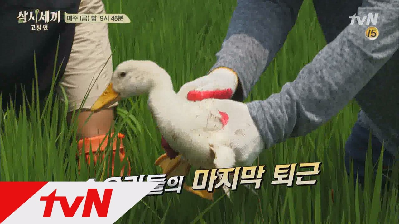 손오리 부대 은퇴식 현장!