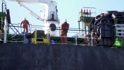 El repostaje de barcos en alta mar amenaza a los pingüinos africanos