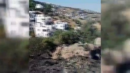 Bodrum'da evlere yakın alanda çıkan çalılık yangını söndürüldü - MUĞLA