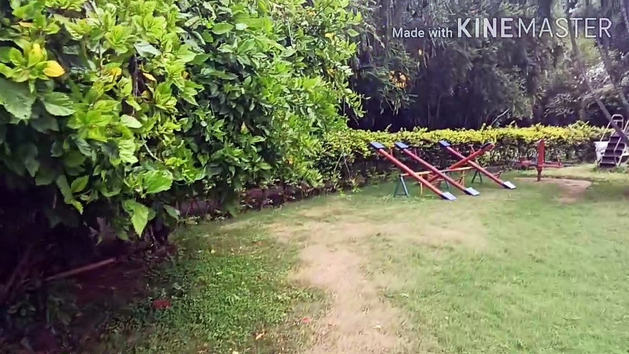 Sai Garden Society's Garden Banglore||Rented Apartment Garden