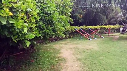 Sai Garden Society's Garden Banglore||Rented Apartment Garden