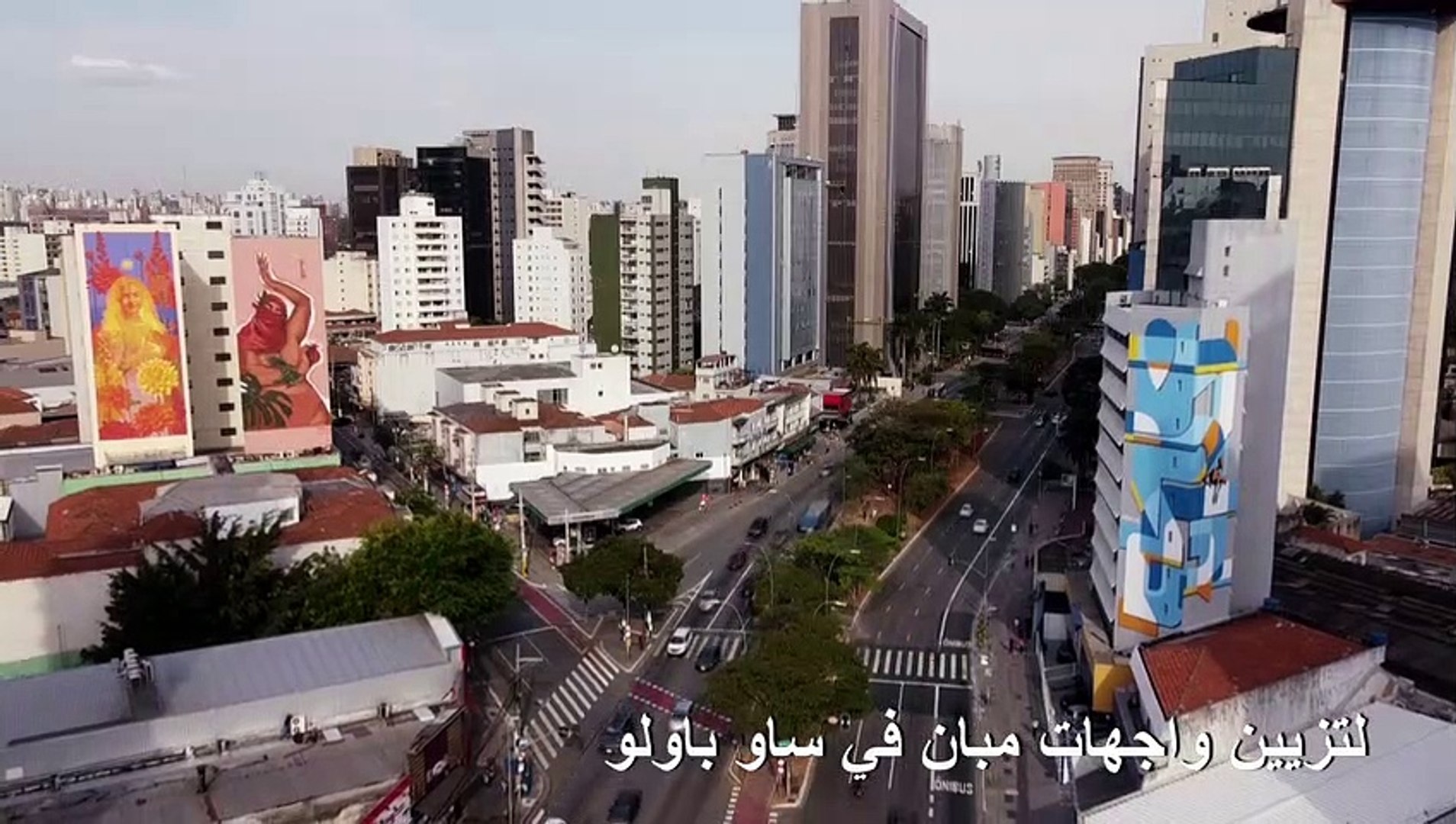 فن الشارع في ساو باولو صامد رغم الجائحة - Vidéo Dailymotion