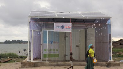 Solar-Powered Fridge Invention Changes Lives In Nigeria