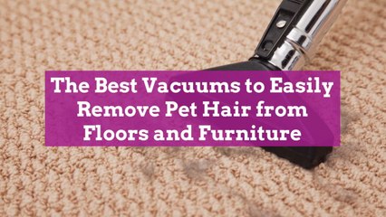 The Best Vacuums to Easily Remove Pet Hair from Floors and Furniture