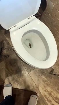 Ce qu'il découvre dans la cuvette des toilettes fait froid dans le dos