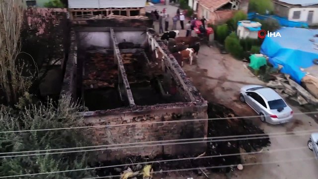 Ahırda çıkan yangında 8 hayvan telef oldu