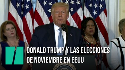Donald Trump y las elecciones de noviembre