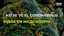 Así se ve el coronavirus desde un microscopio