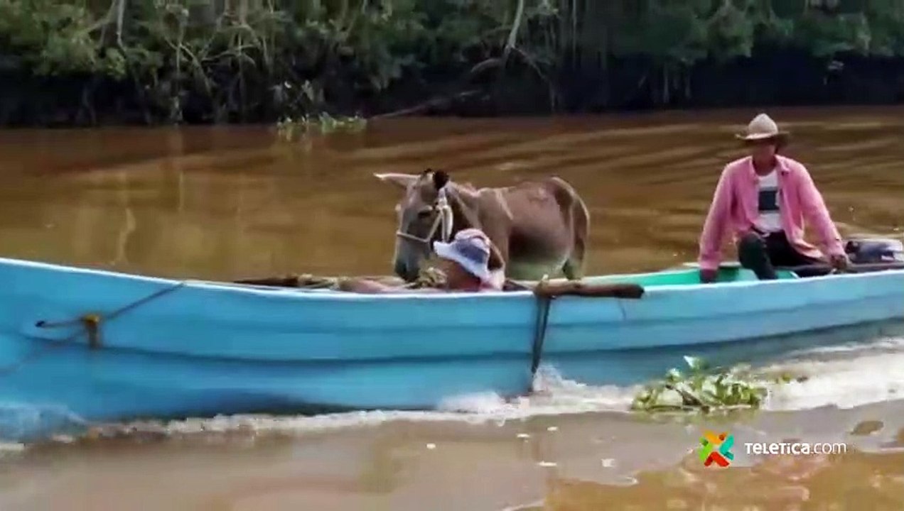 ext-burro-paseo-en-lancha-180820