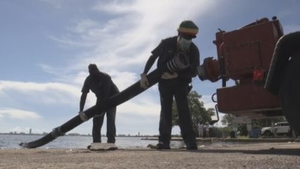 Alcalde de Miami pide detener venta de fertilizantes para proteger la bahía