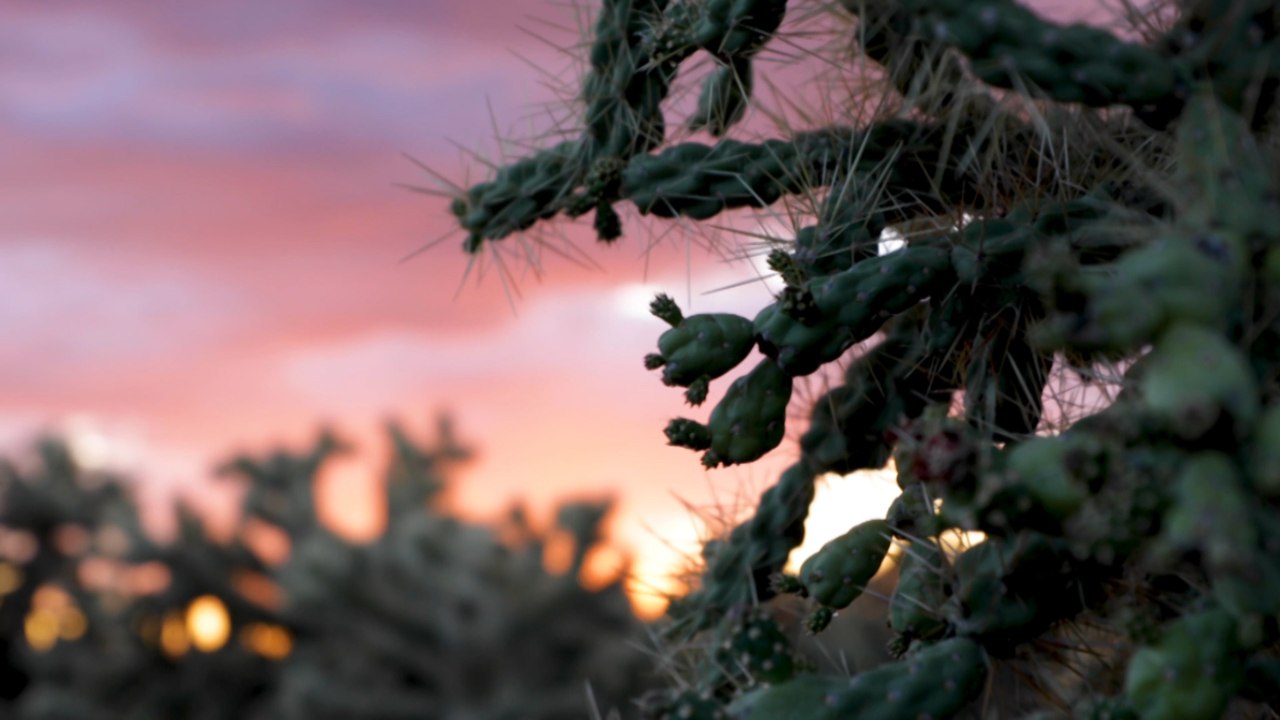 Best Travel Destinations For Nature Lovers