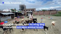 Ruff justice: Dog lovers outraged over plans to relocate Dhaka strays