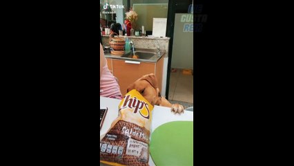 Videos de RISA de Tik Tok 2020 -