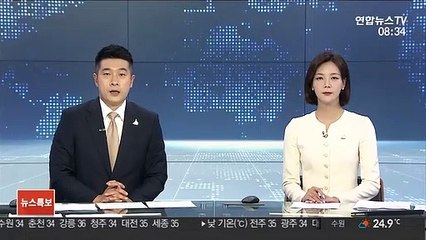 모리셔스 '기름 유출' 일본 화물선 선장 체포