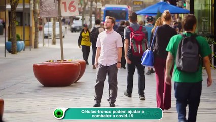 Células-tronco podem ajudar a combater a covid-19