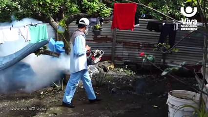 Brigadistas batallan contra los zancudos del barrio Laureles Sur