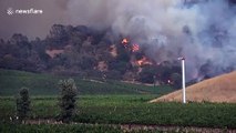 Wine country facing fierce fires threatening historic locales, evacuations forced in Napa Valley, CA