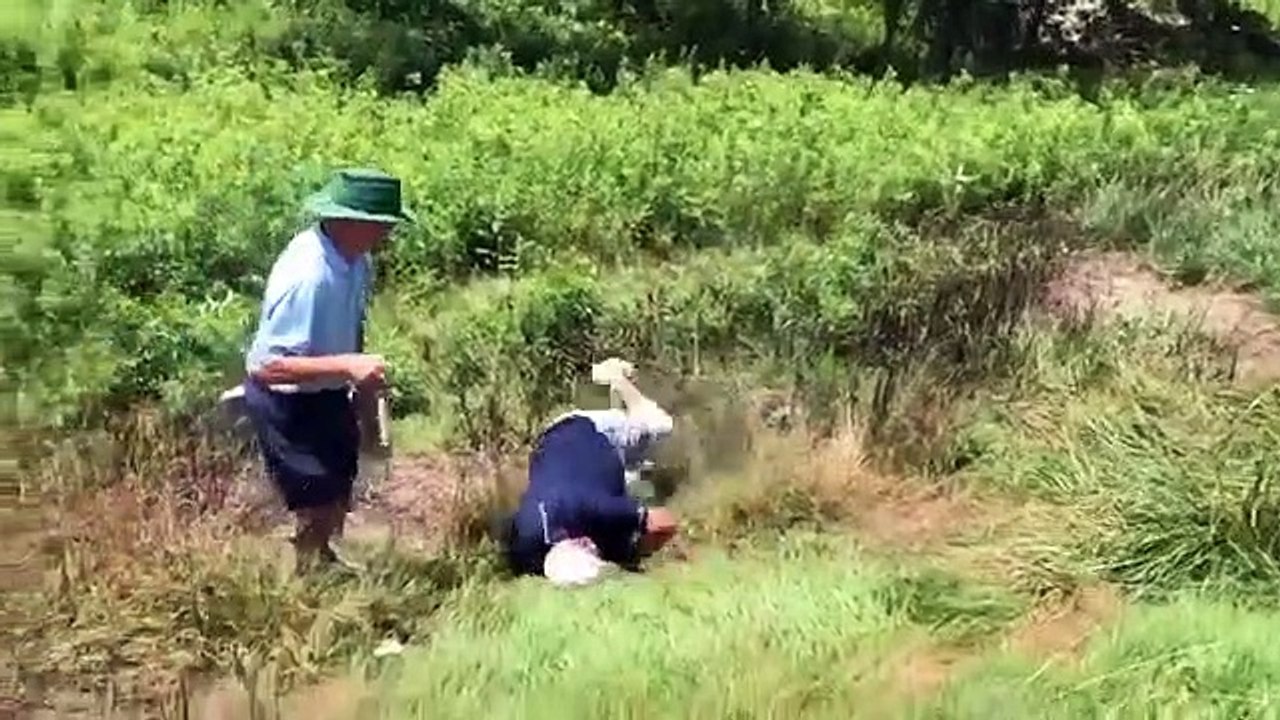 TRY NOT TO LAUGH - Best Funny Fails - Funny Baby Video Compilation 2020