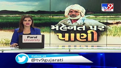Heavy rains damage crops in Gir-Somnath - TV9News