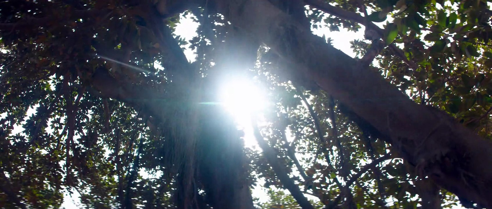 EXCLU - Découvrez la bande annonce du nouveau film de Lucas Belvaux : "Des hommes" avec Gérard Depardieu