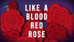 Kate Miller-Heidke - Blood Red Rose