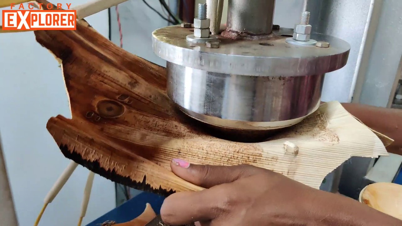 HOW? Areca Leaf Plates Making | Disposable and Bio-Degradable | Factory Explorer