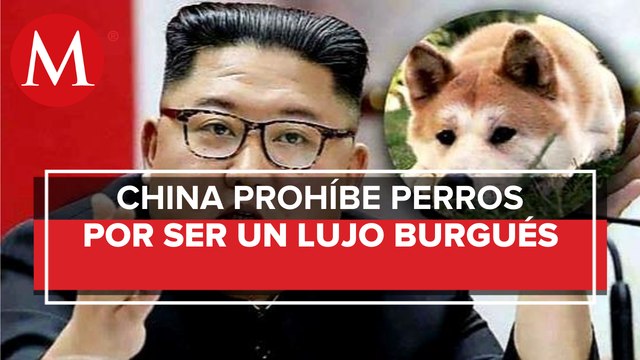 Kim Jong-un prohíbe tener perros como mascotas en Corea del Norte