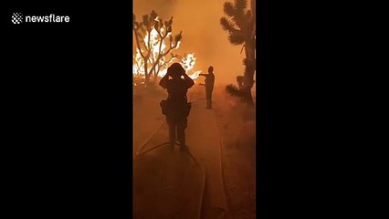 Dome fire creates hell on earth with 98 degree heat in Mojave National Preserve, California