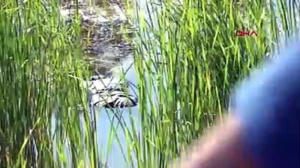 Hakkari'de gölette kadın cesedi bulundu