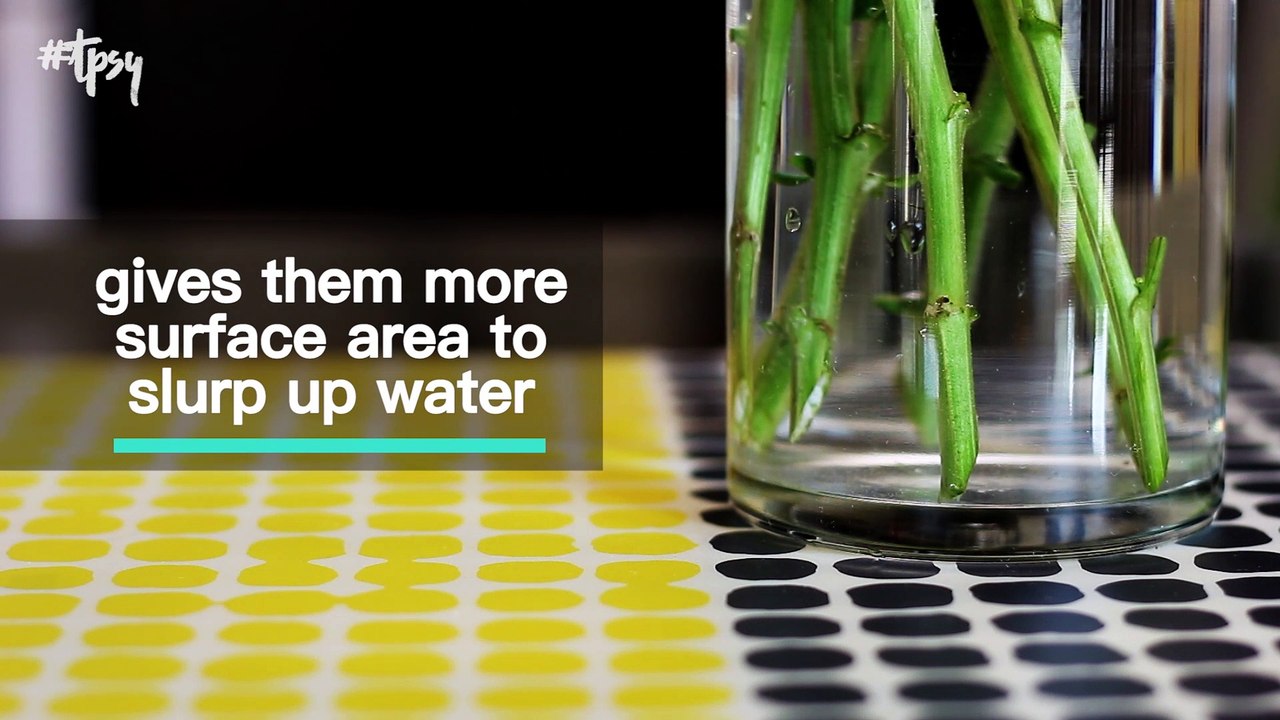 Some Tricks to Make Flowers Last Longer Include Vodka, Hairspray, and More