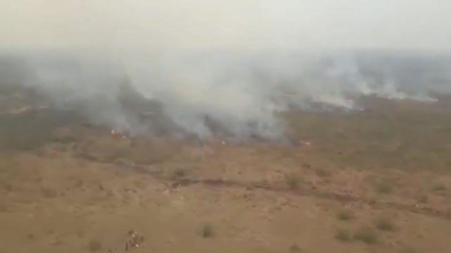 Los continuos incendios en el Pantanal (Brasil) amenazan un santuario de guacamayos y jaguares