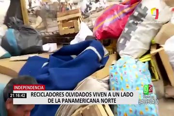 Download Video: Recicladores viven en precarias condiciones bajo un puente en la Panamericana Norte