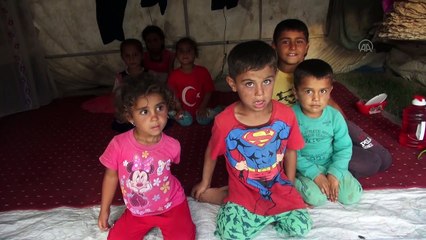Çadırda geçen hayatlar: Mevsimlik tarım işçileri - SAMSUN