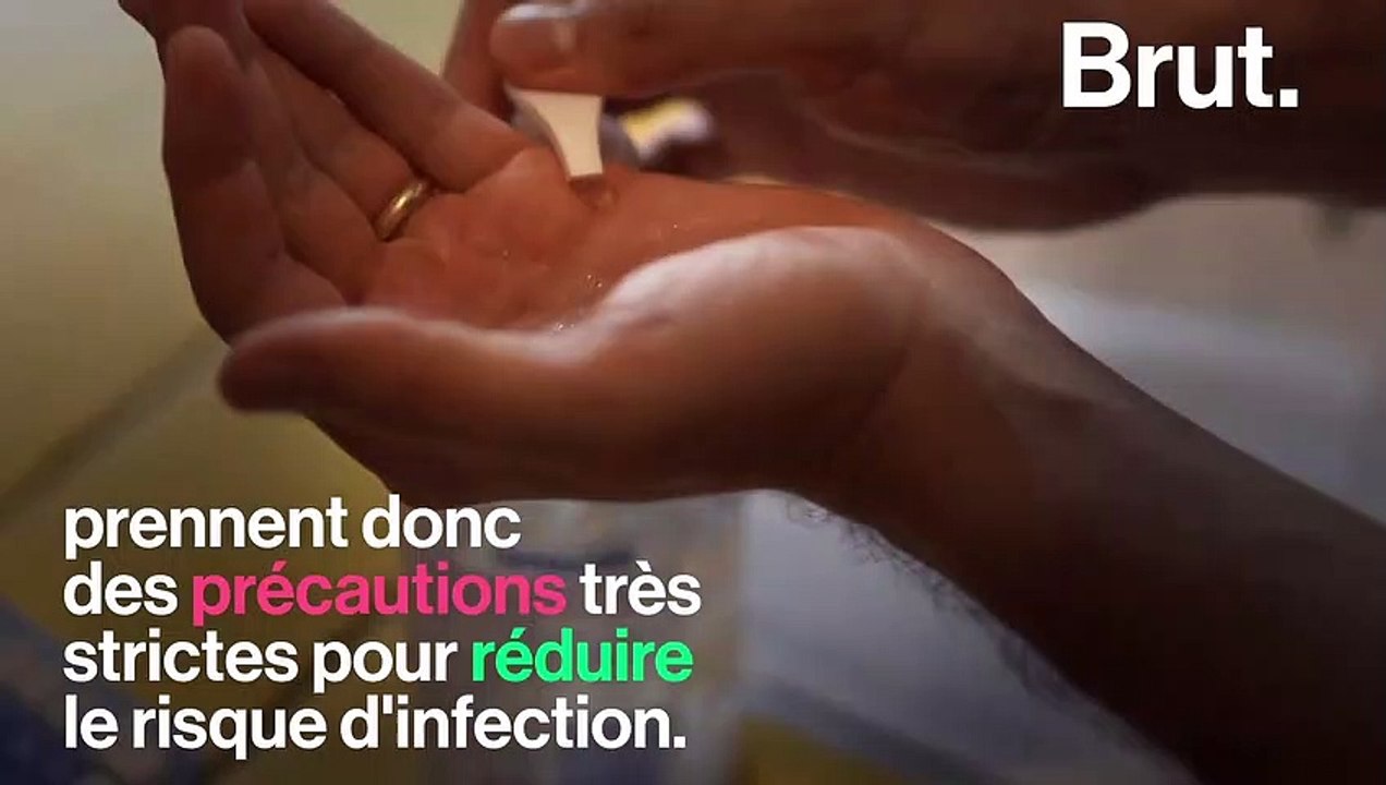 La grippe porcine africaine sonne-t-elle le glas des sangliers nains ?