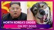 Kim Jong-un Orders North Koreans To Hand Over Pet Dogs To Supply Restaurants Amid Food Shortages