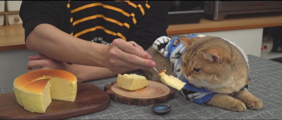 Japanese Souffle Cheesecake [Super Fluffy & Jiggly]