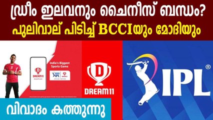 Dream11 as IPL title sponsor will shatter PM Modi's 'Atma Nirbhar Bharat' dream