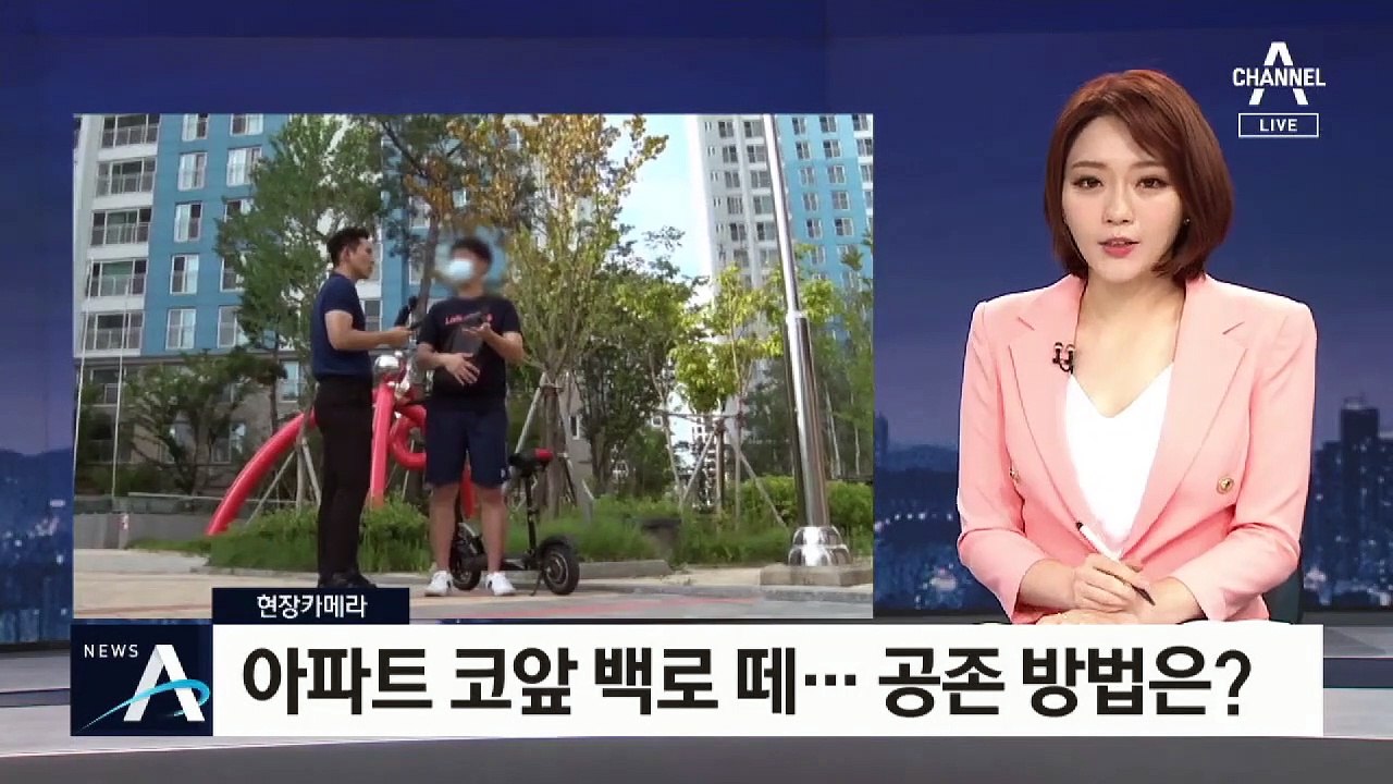 [현장 카메라]아파트 코앞 백로 떼…소음·악취 ‘골칫거리’