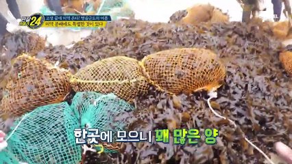 아무렇게나 던져지는 주민들의 신발, 죽도의 미역 분배는 특별한 것이 있다?