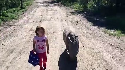 Ringo the baby rhino and friend