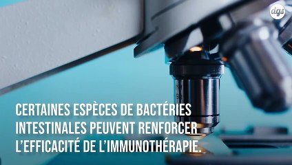 Cancer : cette étude révèle comment certaines bactéries intestinales améliorent l'immunothérapie
