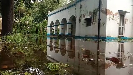 अधिकारी की लापरवाही से सिंचाई विभाग भवन में भरा बरसात का पानी