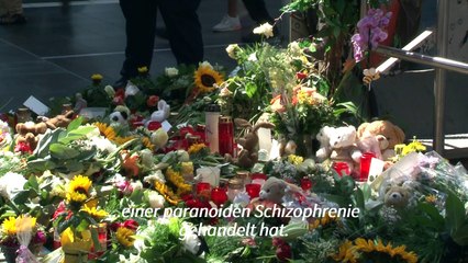 ICE-Schubser-Prozess: "Es geht um Mord oder Totschlag"