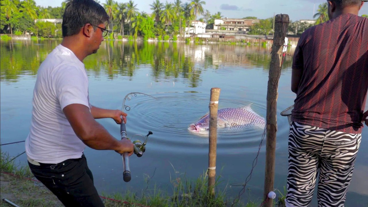 how to make fish hunting | Catla Fishing Videos