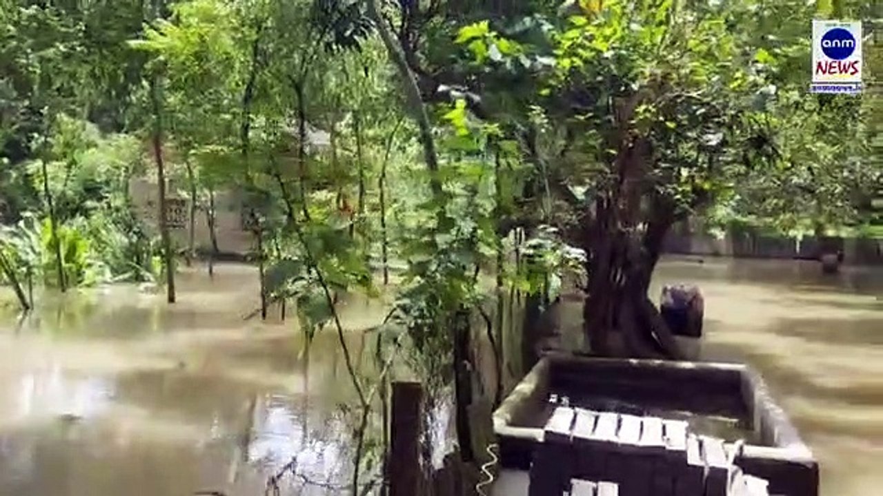 ২ দিনের বৃষ্টিতে ক্যানাল ছাপিয়ে রাস্তায় হাঁটুজল