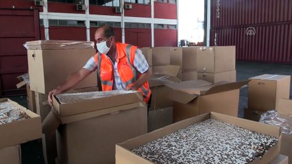 40 milyon 980 bin dal kaçak sigara ele geçirildi - İZMİR