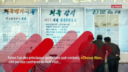 En Corée du Nord, les chiens domestiques réquisitionnés pour être mangés ?