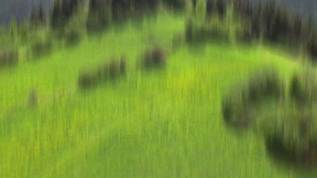 20 Transiciones gratuitas para Premiere Pro - Tutorial