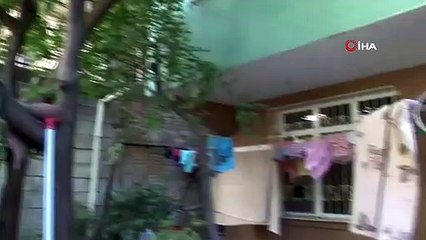 Adana'da böcek istilası! Bir mahalleyi hamam böcekleri sardı
